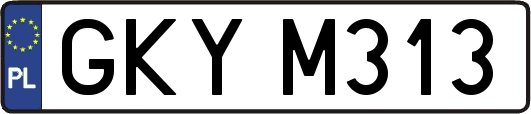 GKYM313