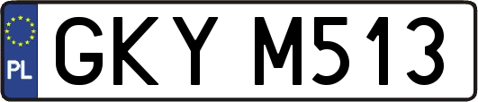 GKYM513