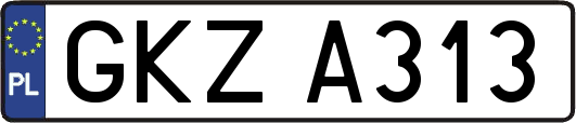 GKZA313