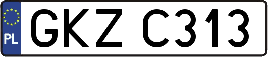 GKZC313
