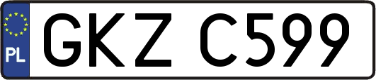 GKZC599