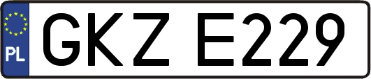GKZE229