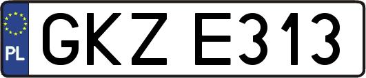 GKZE313