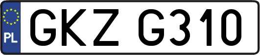 GKZG310