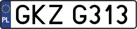 GKZG313