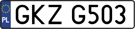 GKZG503