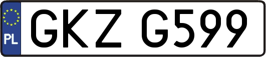 GKZG599