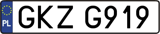 GKZG919