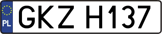 GKZH137