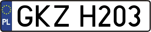 GKZH203
