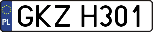 GKZH301