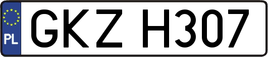 GKZH307