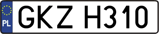 GKZH310
