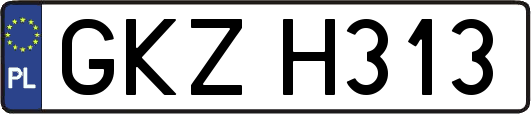 GKZH313