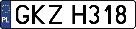 GKZH318