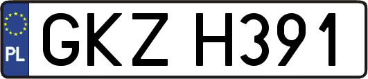GKZH391