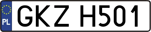 GKZH501