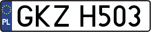 GKZH503