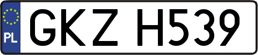 GKZH539