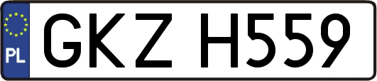 GKZH559