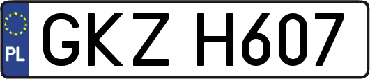 GKZH607