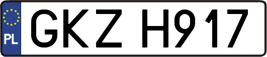 GKZH917