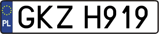 GKZH919