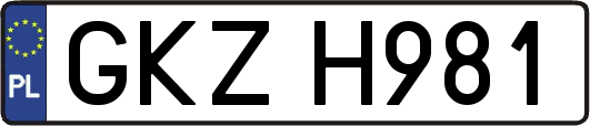GKZH981