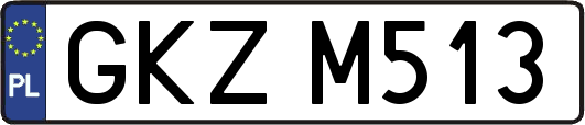 GKZM513
