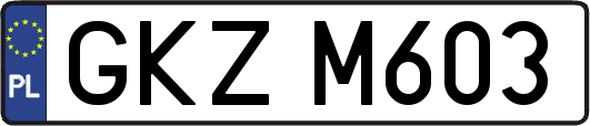 GKZM603