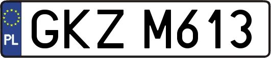 GKZM613