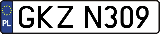 GKZN309