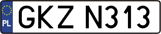 GKZN313