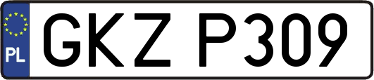 GKZP309