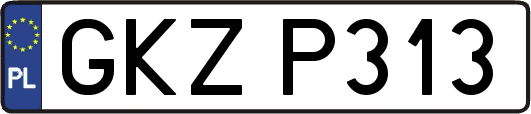 GKZP313