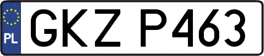 GKZP463