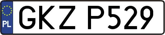 GKZP529