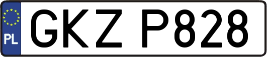 GKZP828