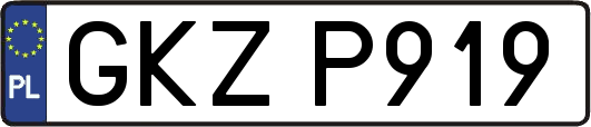 GKZP919