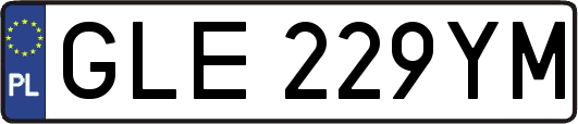 GLE229YM