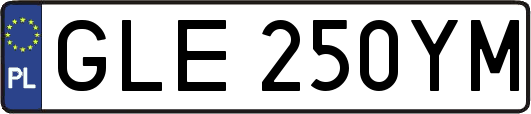 GLE250YM