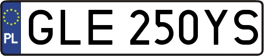 GLE250YS
