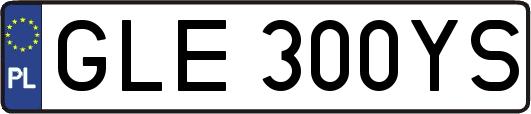 GLE300YS