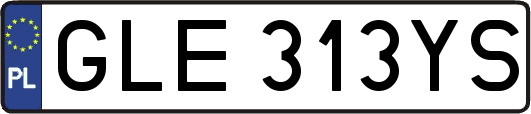 GLE313YS