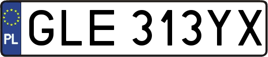 GLE313YX