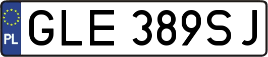 GLE389SJ
