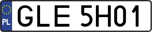 GLE5H01