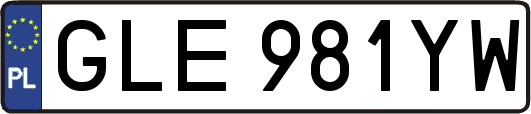 GLE981YW