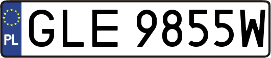 GLE9855W