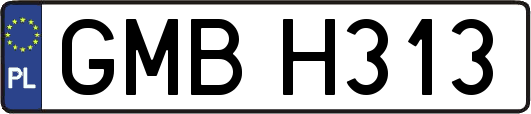 GMBH313